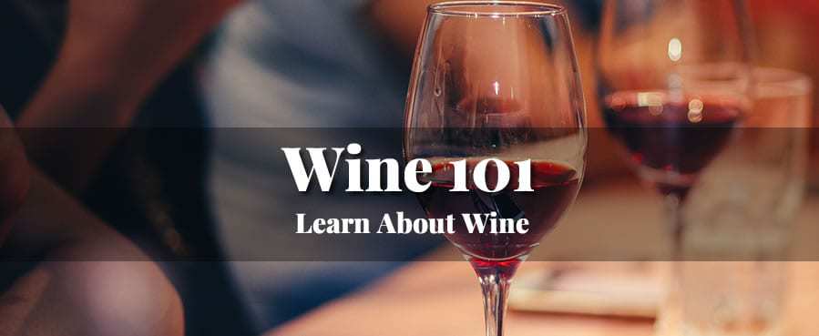 Wine 101: Learn About Wine