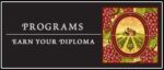 Diploma Sommelier