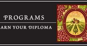 diploma sommelier
