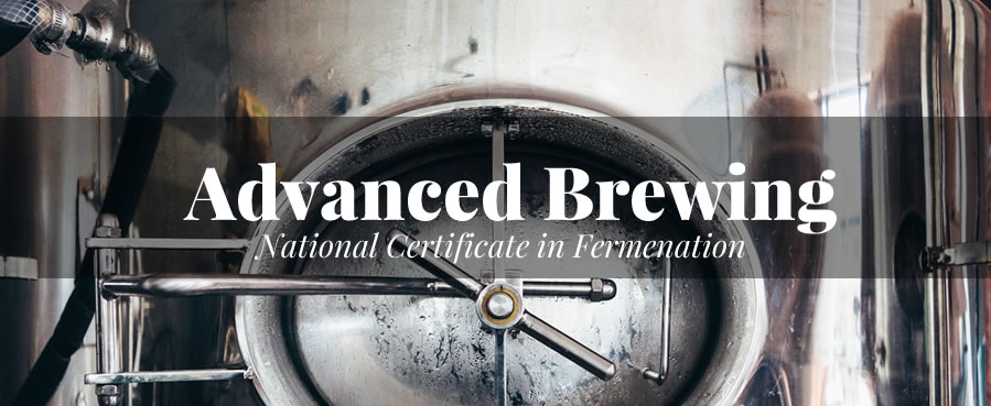 Advanced Beer Brewing Certificate Program