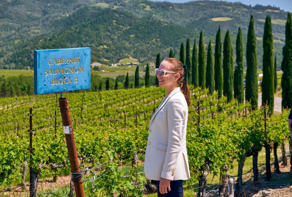 Cabernet Sauvignon Wine Grape Variety Sign. Vineyards Landscape In California, Usa