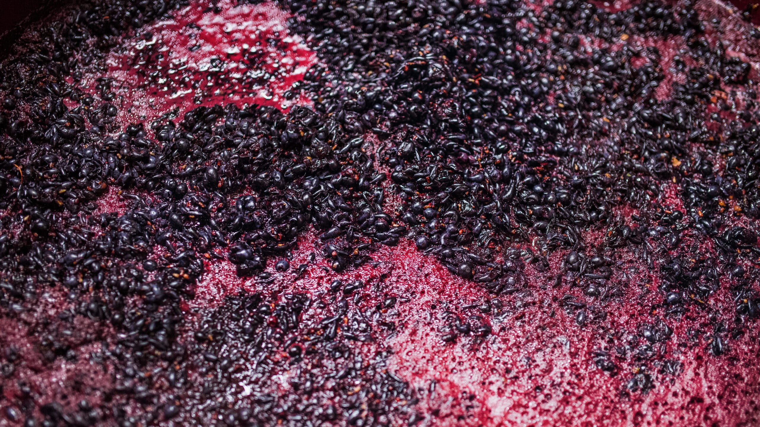 Fermentation Of Grape Must Winemaking Concept Top Khzajp6 1 Edited Scaled