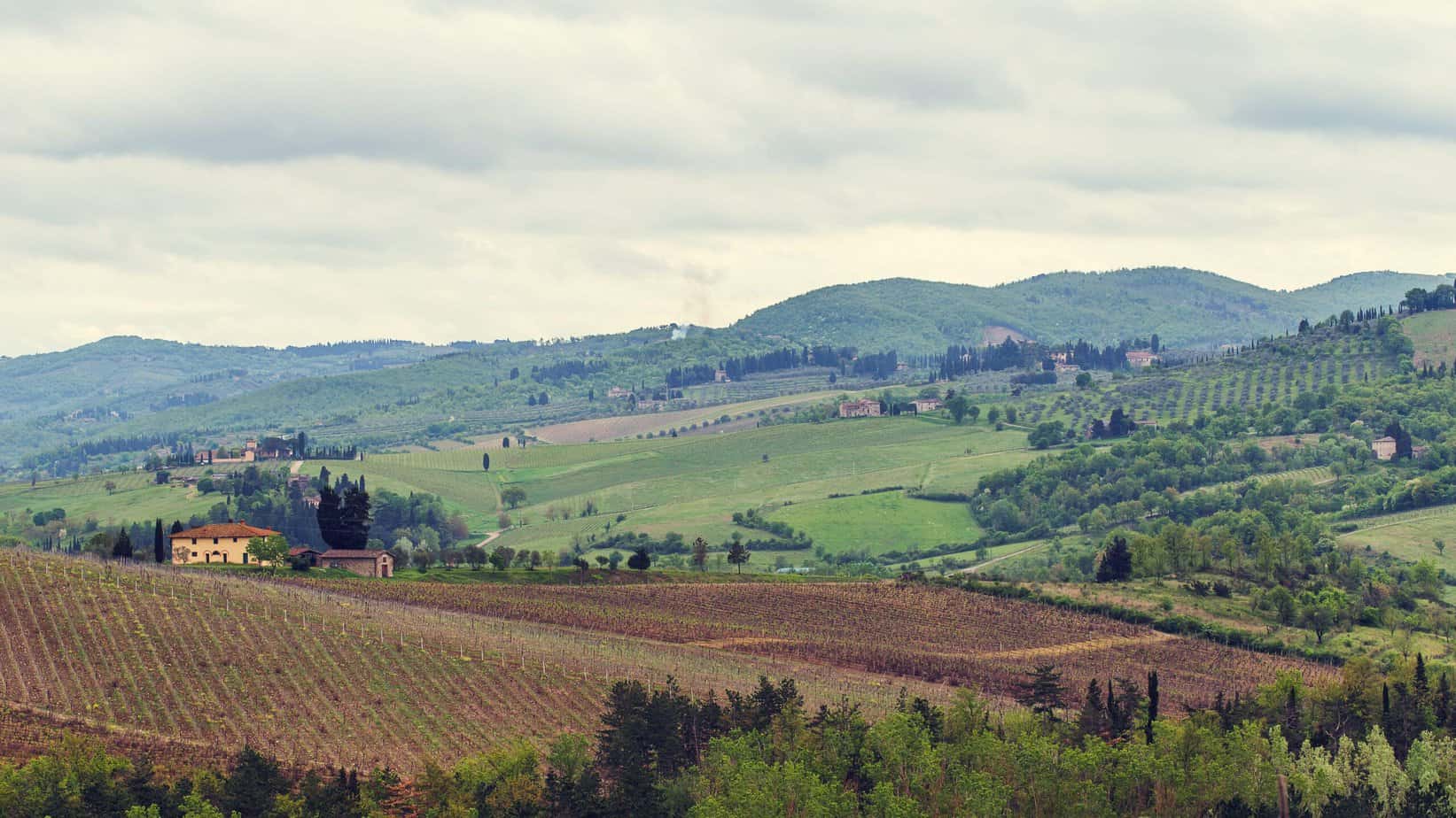 The Vineyards Of Chianti 2021 08 30 18 54 34 Utc Edited Scaled