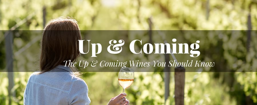 up and coming wine regions