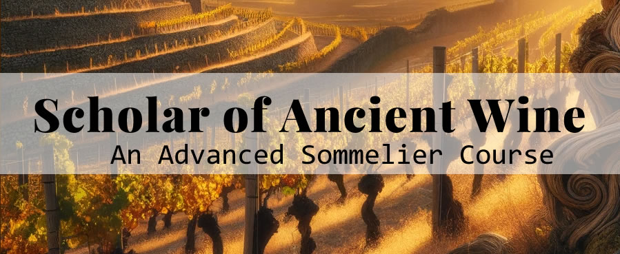 scholar of ancient wine