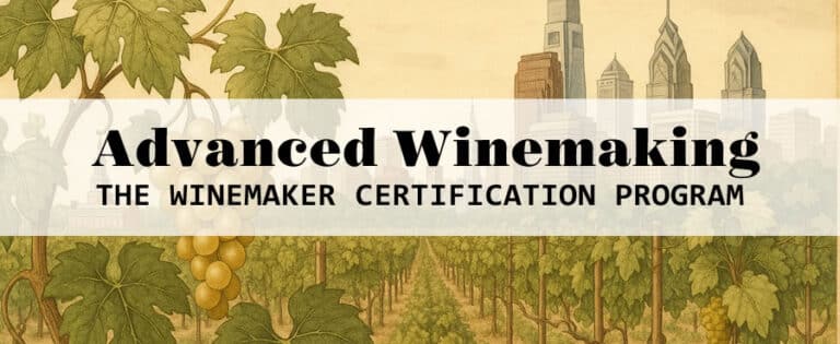 Winemaking certification program advertisement with vineyard illustration.