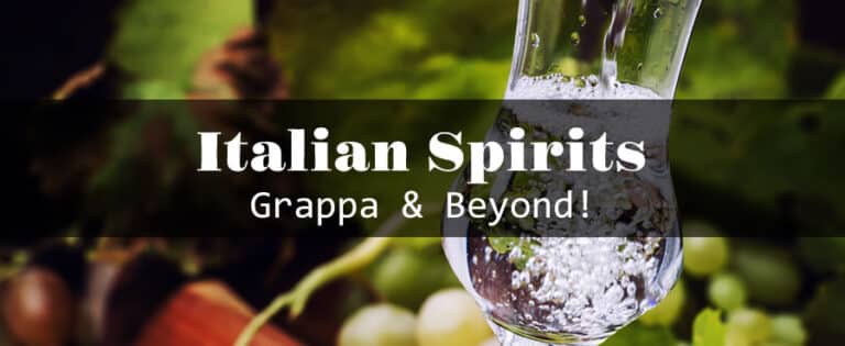 Glass of Italian grappa with grapes background.