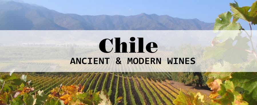 Chilean vineyard landscape with wine theme.