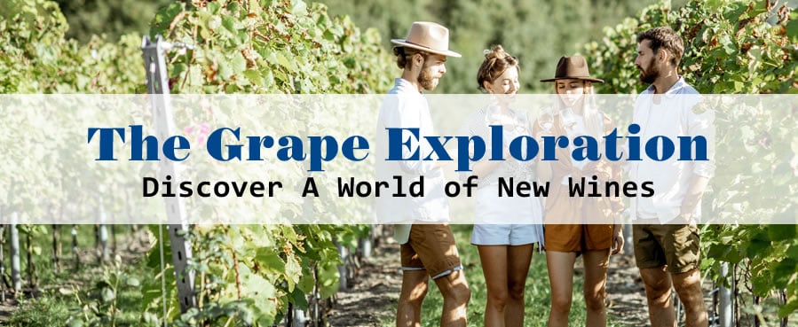 Vineyard tour promoting wine exploration and discovery.