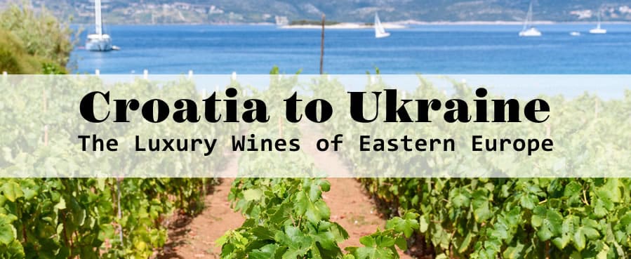 Eastern European vineyards and sea view