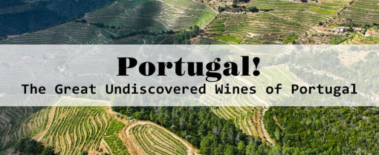 Scenic vineyards in Portugal's wine region.