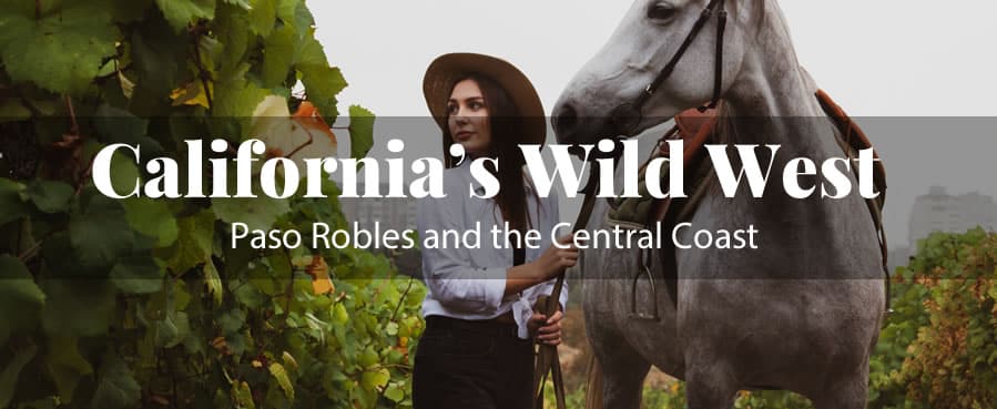 Woman with horse in Paso Robles vineyard