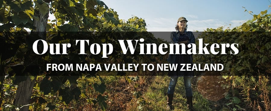 Winemaker standing in sunlit vineyard with text overlay